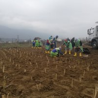 Çevre korumada ‘bio-teknolojik’ hamle 