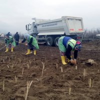 Çevre korumada ‘bio-teknolojik’ hamle 