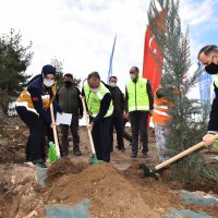 Sağlık Kahramanları Ormanı 