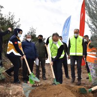 Sağlık Kahramanları Ormanı 