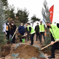 Sağlık Kahramanları Ormanı 