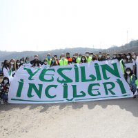 Gönüllüler sokak hayvanları için sahaya indi 