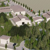 Sokak hayvanları için güç birliği 