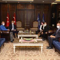 Sokak hayvanları için güç birliği 