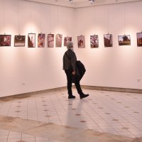 Bu sergide fotoğraftan çok ötesi var 