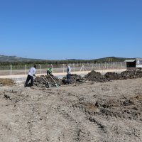 Hasköy mezarlığında defin işlemi başladı 