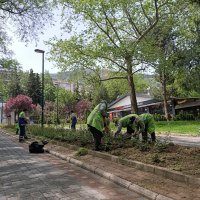 Yeşil Bursa yaza hazırlanıyor  