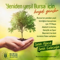 Haydi gençler; sizin de dikili bir ağacınız olsun 
