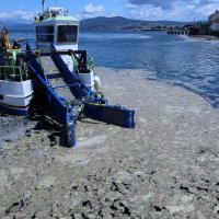 Bursa sahillerinde salya operasyonu  