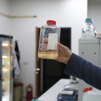 Çevre felaketi ekonomi için fırsat olabilir 