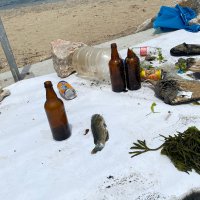 Dalgıçlar denizi, çevreciler sahili temizledi 