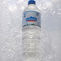 Bursasu sınırları aşıyor 