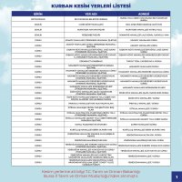 Büyükşehir bayrama hazır 