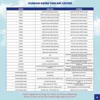 Büyükşehir bayrama hazır 