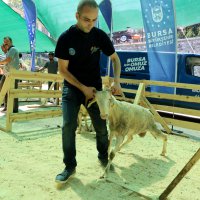 Bayram sevinci tüm evleri saracak 