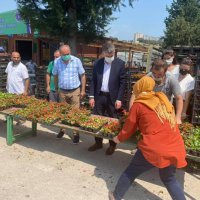 Mezarlık ziyaretçilerine ücretsiz çiçek 