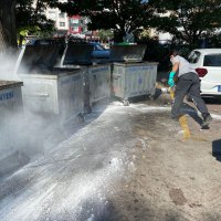 Uyarılar dikkate alınmadı, karasinek çoğaldı 