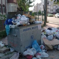 Uyarılar dikkate alınmadı, karasinek çoğaldı 