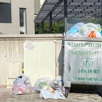Uyarılar dikkate alınmadı, karasinek çoğaldı 