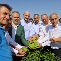 Büyükşehir destekliyor, çiftçi kazanıyor 