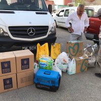 Yangın bölgesindeki can dostları unutulmadı 