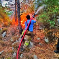Yangın bölgesine takviye sürüyor 