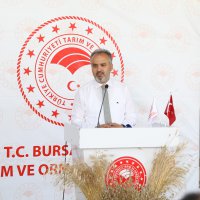 Siyez buğdayı ve çörek otunda hasat zamanı  