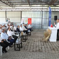 Siyez buğdayı ve çörek otunda hasat zamanı  