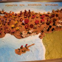 İğne oyası dünya vitrininde 