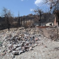 Yangında kül olan umutlar, yardımlaşma ile yeşeriyor 