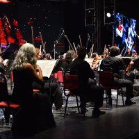 Festival coşkusu başladı 