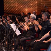 Festival coşkusu başladı 