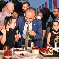 Ahudududa hasat bereketli başladı 