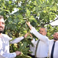 Bursa’nın İncisi’nde hasat başladı 
