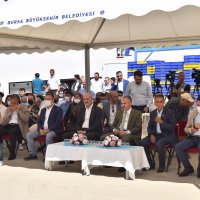 Bursa’nın İncisi’nde hasat başladı 