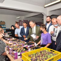 Bursa’nın İncisi’nde hasat başladı 