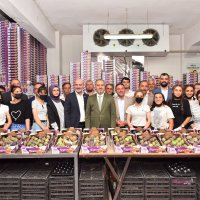 Bursa’nın İncisi’nde hasat başladı 
