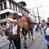 6 asırlık handa develi koza mezadı 