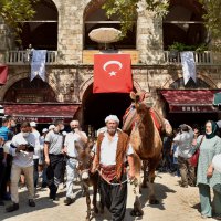 6 asırlık handa develi koza mezadı 