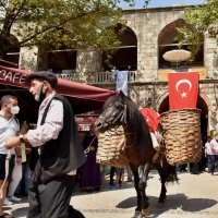 6 asırlık handa develi koza mezadı 