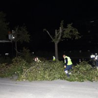 Yeni metro hattında ağaç seferberliği 