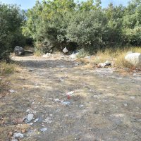 Daha temiz çevre için çöp topladılar 