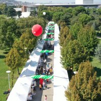 Sanata hayat veren eller festivali 