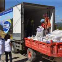 Siyez buğdayında hasat bereketi 