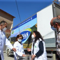 Siyez buğdayında hasat bereketi 