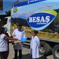 Siyez buğdayında hasat bereketi 