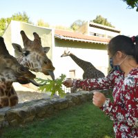Hayvanat Bahçesi’nin özel konukları 