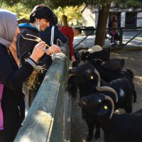 Hayvanat Bahçesi’nin özel konukları 