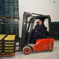 Armut bahçelerinde hasat bereketi 