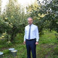 Armut bahçelerinde hasat bereketi 